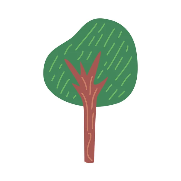 Boom plant groen — Stockvector