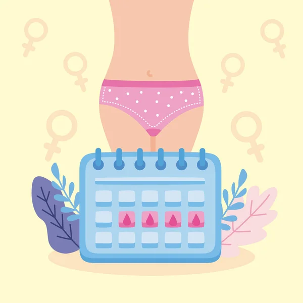 Menstruação e calendário das mulheres —  Vetores de Stock