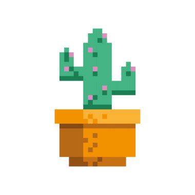 pikselli kaktüs bitkisi