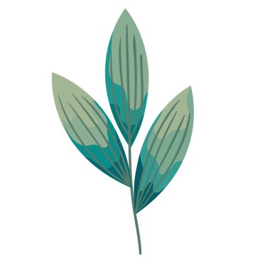 Üç yaprak yeşili dal