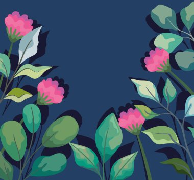 Pembe manolya çiçekleri ve yaprakları