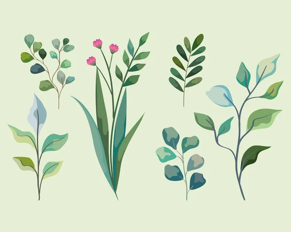 Iconos con ramas de plantas — Vector de stock