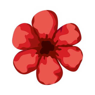 Kırmızı çiçek bahar