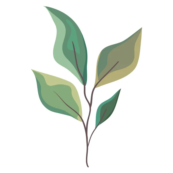 Rama con follaje de hojas — Vector de stock
