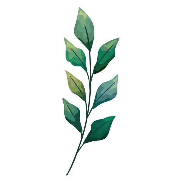 Ветка с листьями — стоковый вектор