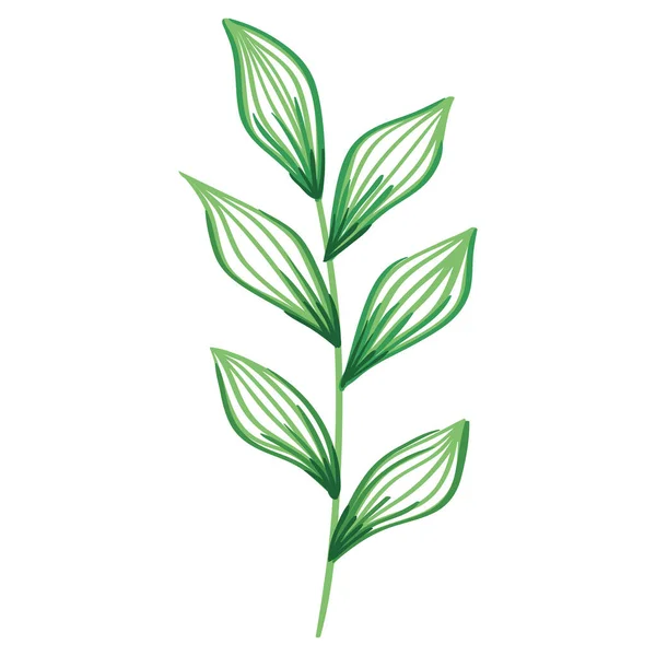 Κλαδί άνοιξη με φύλλα — Διανυσματικό Αρχείο