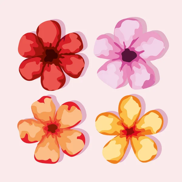 Vier Frühlingsblumen — Stockvektor