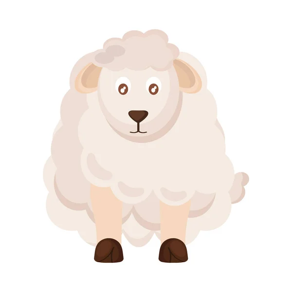 Roztomilý ovce zvíře — Stockový vektor