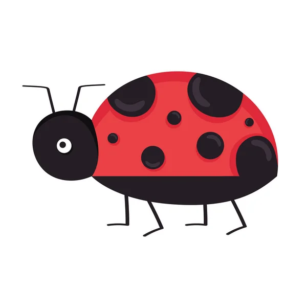 Ladybug roztomilé jarní zvíře — Stockový vektor