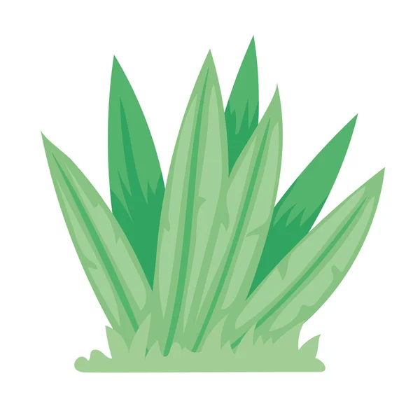 Jardín Verde Bush — Vector de stock