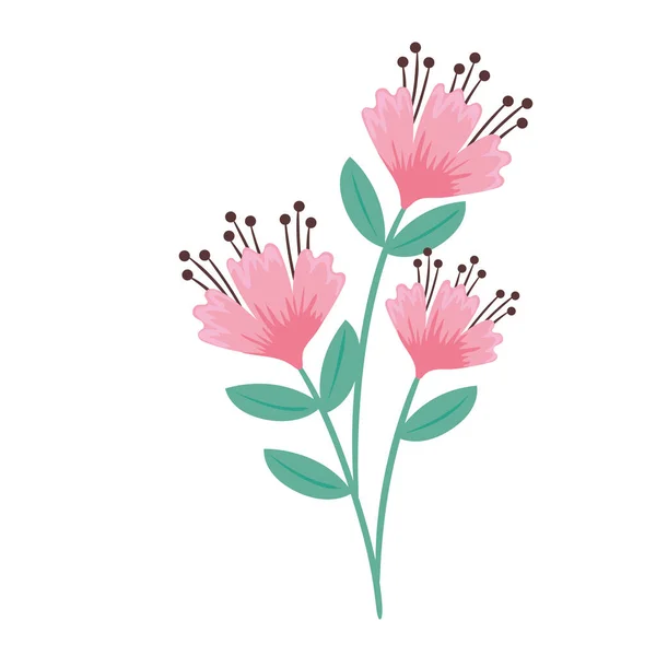 Flores rosadas de primavera — Vector de stock