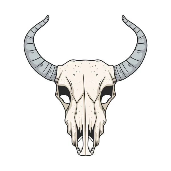Cabeza cráneo de vaca — Vector de stock