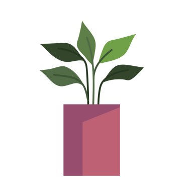 Çiçekli portakal kabı