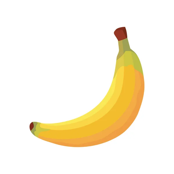 Banaan vers fruit — Stockvector