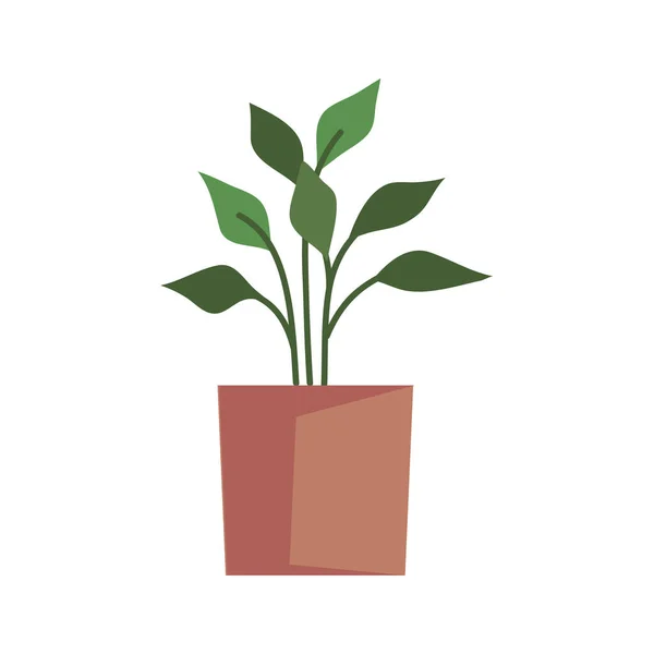 Planta de sala em vaso laranja — Vetor de Stock