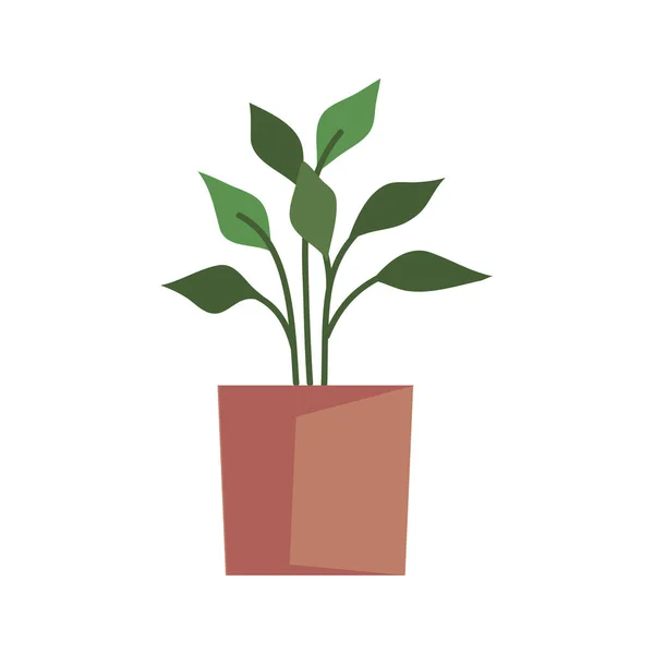 Kamerplant in oranje pot — Stockvector