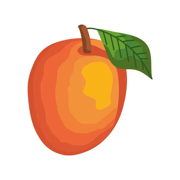 Mango fruta fresca — Vector de stock