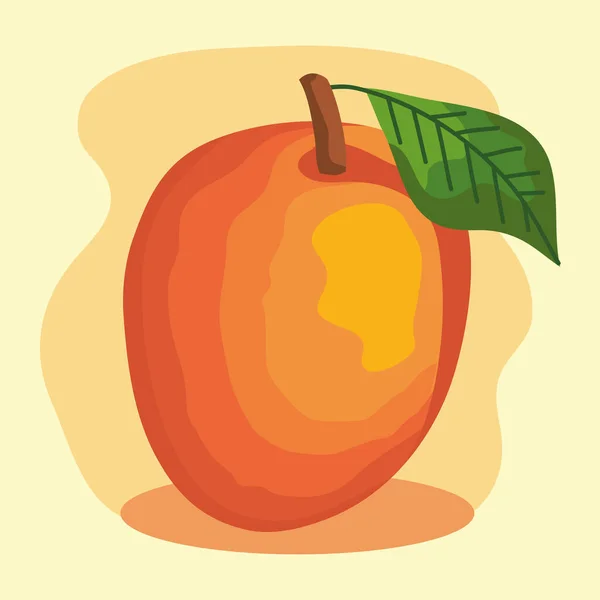 Mango fresh fruit — Stock Vector