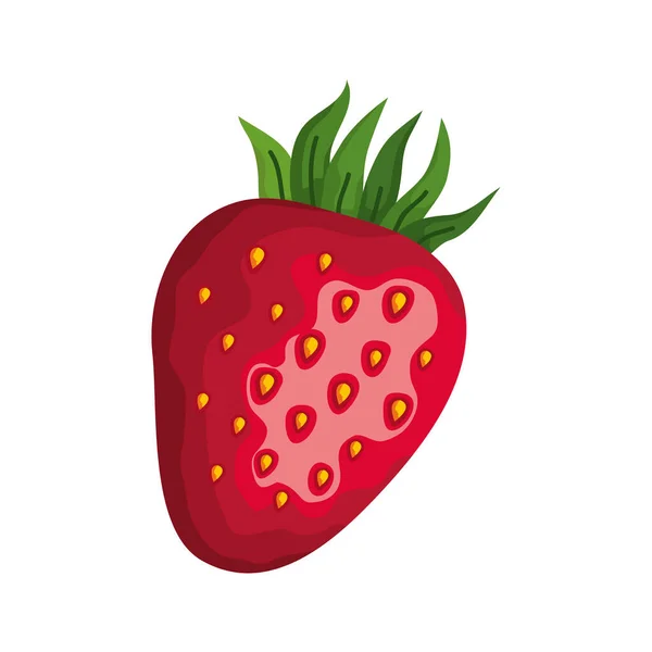 Aardbeien vers fruit — Stockvector