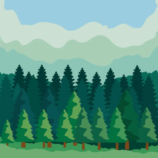 Bosque paisaje naturaleza — Vector de stock