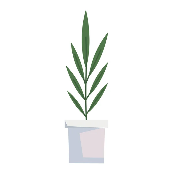 Planta de interior en maceta blanca — Vector de stock