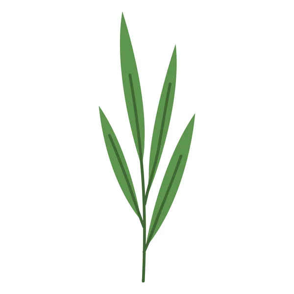 Гілка з листям зелена — стоковий вектор