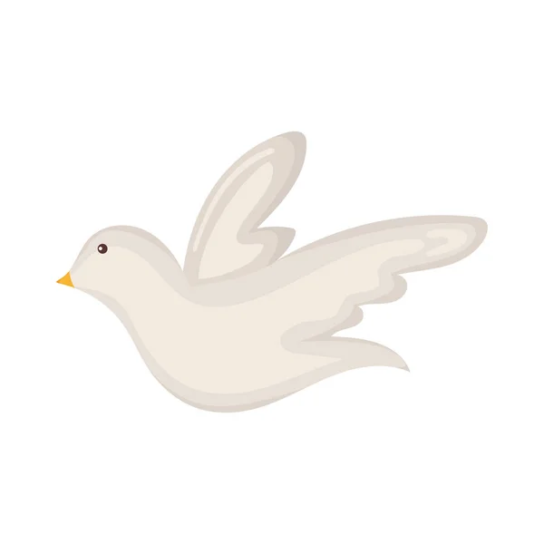 Colombe oiseau volant — Image vectorielle