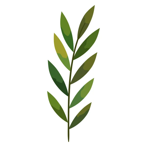 Φύλλα σε φύλλα κλαδιών — Διανυσματικό Αρχείο