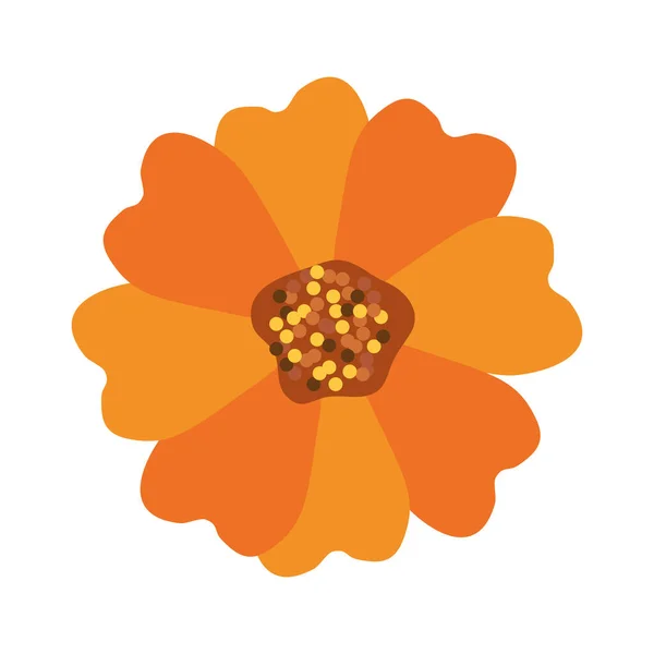 Orange blomma trädgård — Stock vektor