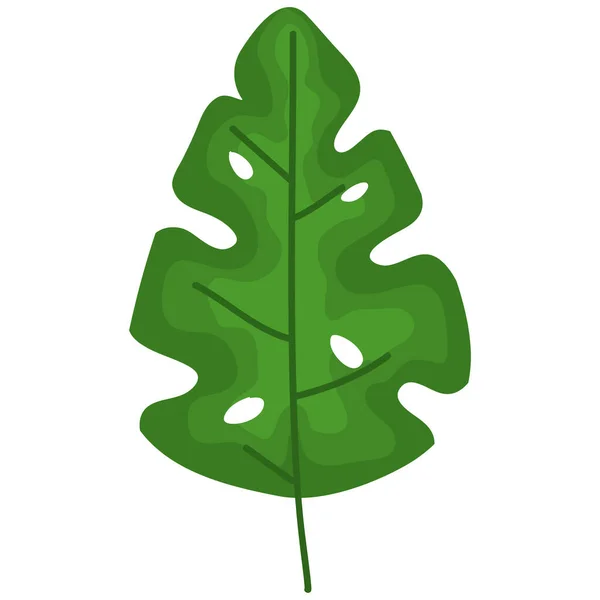 Grüne Blattspflanze — Stockvektor