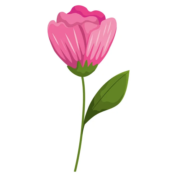 Rosa blomma dekoration — Stock vektor