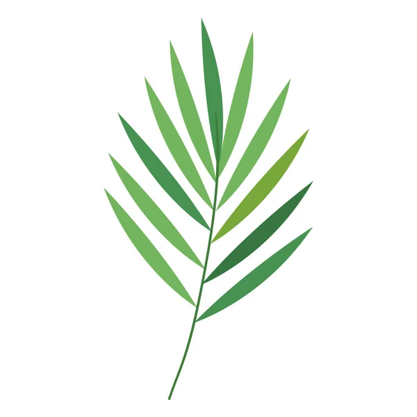 Тропическая пальма — стоковый вектор