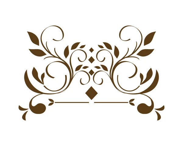 Decoração ornamento elegante — Vetor de Stock