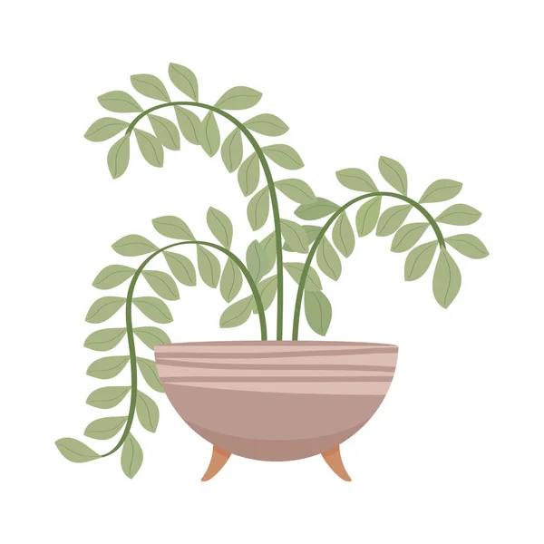 Badezimmer dekorative Pflanze — Stockvektor