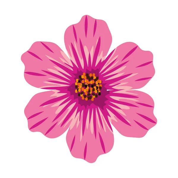 ピンクの花飾り — ストックベクタ