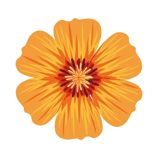 Naranja decoración de flores — Vector de stock
