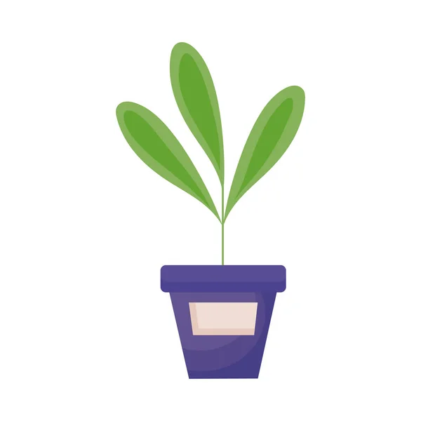 Planta de interior en maceta azul — Vector de stock