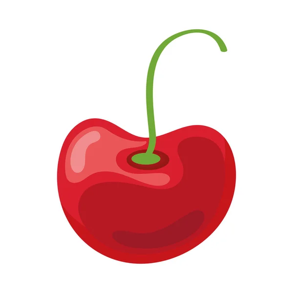 Sweet cherry fruit — Stock Vector