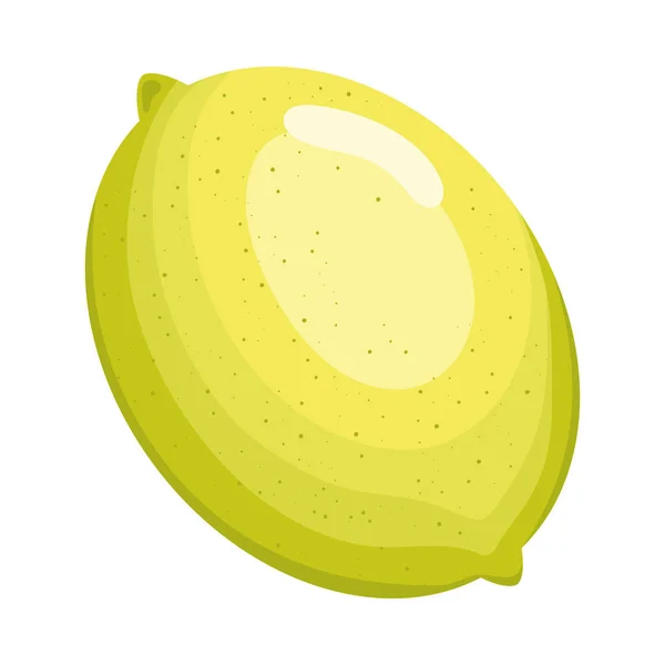 Citron fruits frais — Image vectorielle