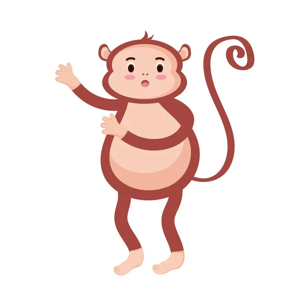 可爱的猴子动物 — 图库矢量图片