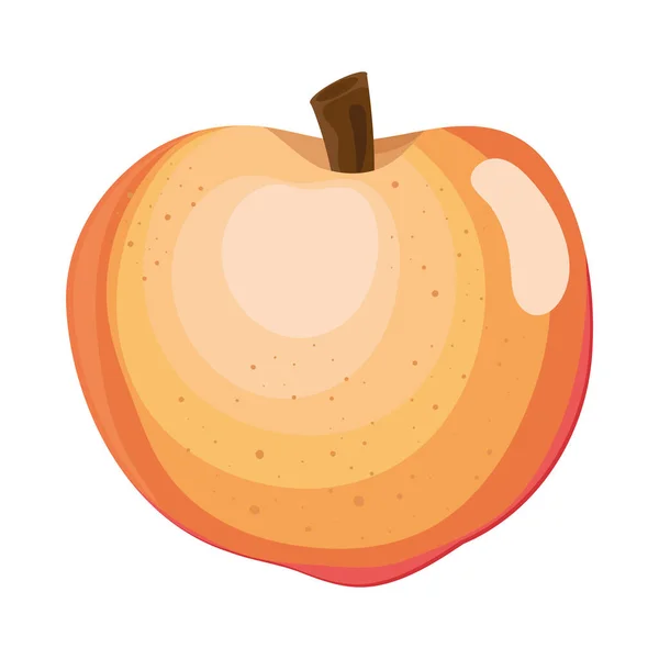 Persika färsk frukt — Stock vektor