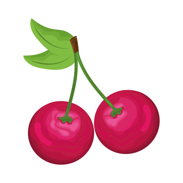 свежие фрукты