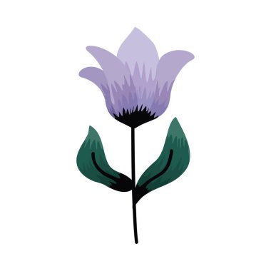 mor çiçekler ve yapraklar