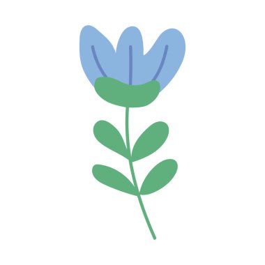 mavi çiçekler ve yapraklar