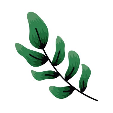 Yapraklı yeşil dal