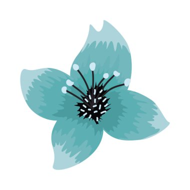 Mavi çiçek baharı