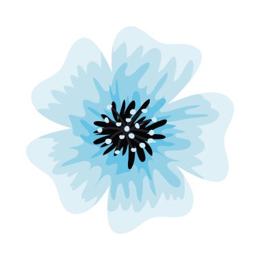 Mavi çiçek baharı