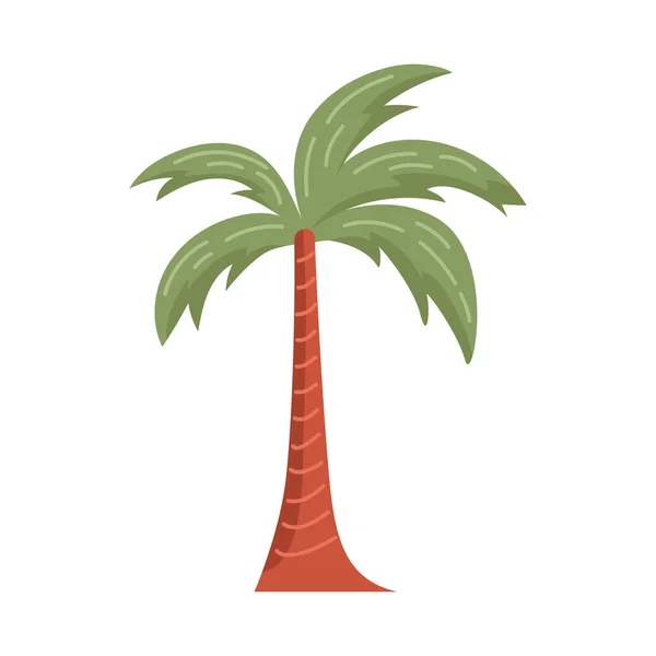 Palma tropického stromu — Stockový vektor
