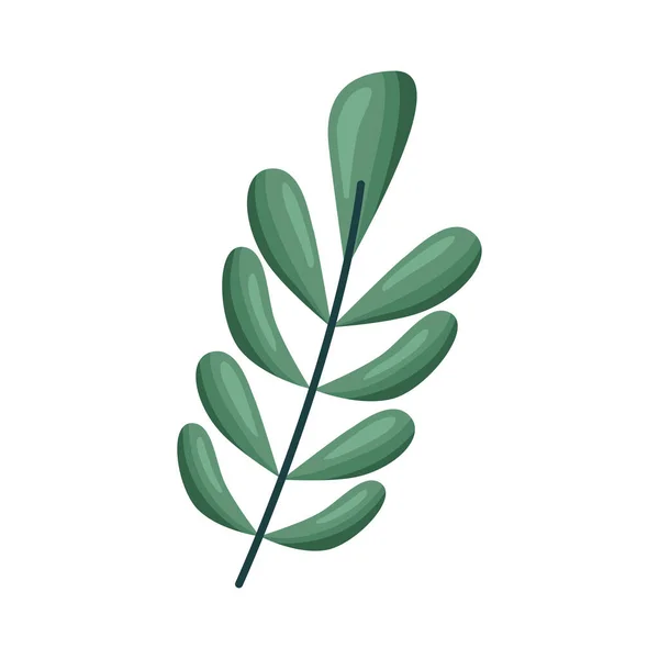 Зелена гілка з листям — стоковий вектор