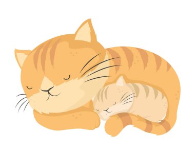 Kitty anne ve bebek.